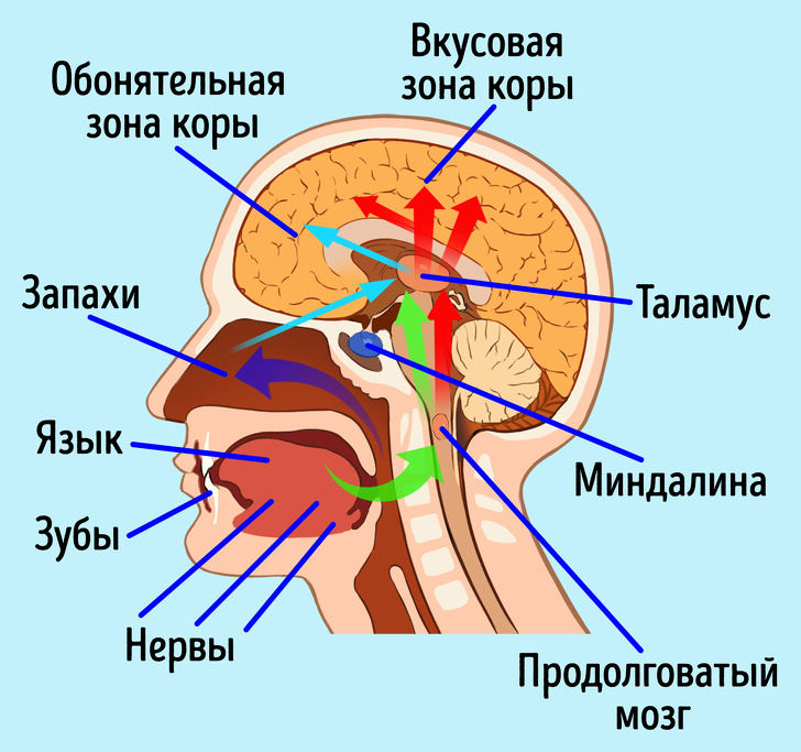 7 суперспособностей, которые у вас точно есть, но вы, скорее всего, о них не знаете