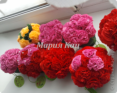 ������ �������� ������-����� ������������� ��������������� ����������� ���� +�� �� �������� ������ ������������� ������ �������� ���� 13