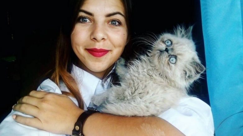 25 шикарнейших кадров, которые были сняты в нужный момент