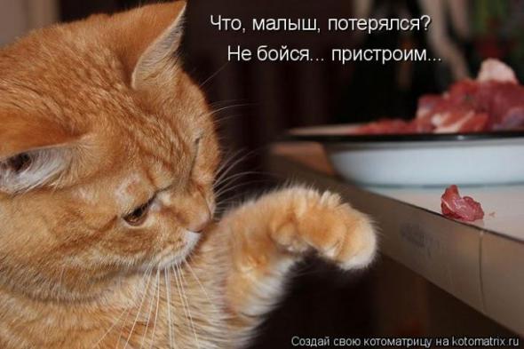 �����������(�������� � ���������)