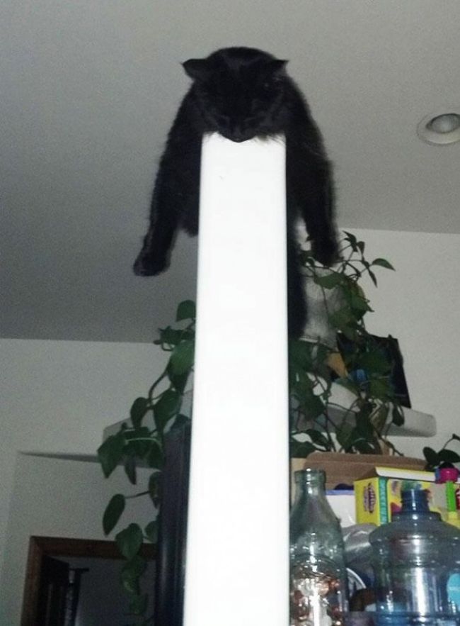       , , 