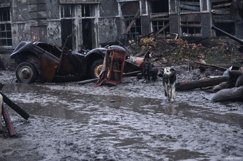 звезды, интересное, знаменитости, фото, война, пепел, машков, миронов