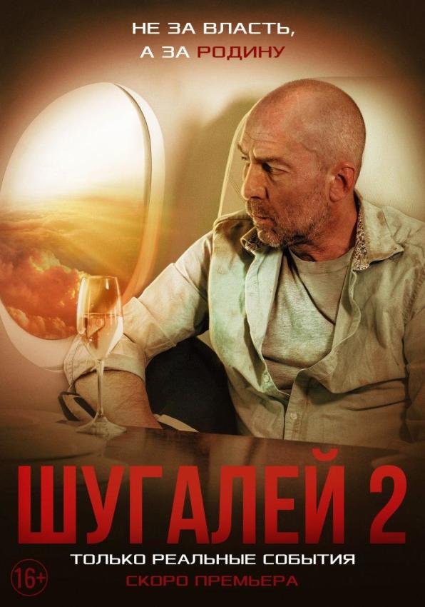 Стариков: фильм «Шугалей-2» подтолкнет процесс возвращения похищенных в Ливии россиян домой