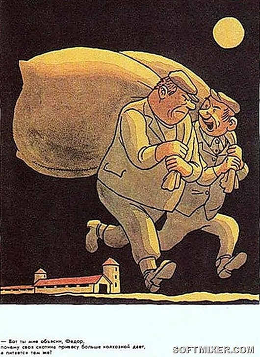 5 5