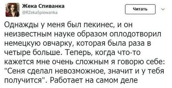 Мотивацию в студию! Мотивацию в студию!
(16 фото + 1 гиф)