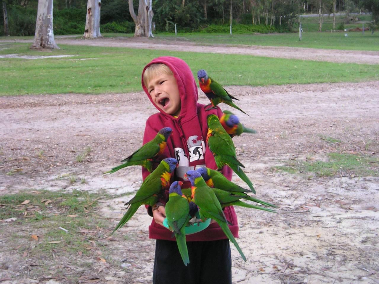 Весьма фотогеничны