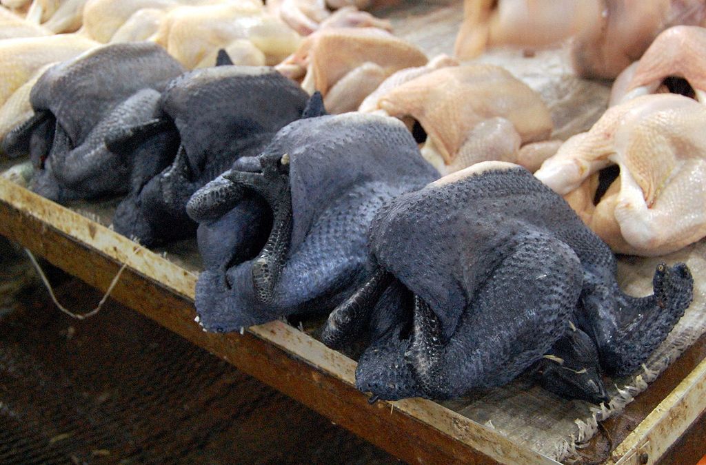 Аям чемани (ayam cemani) — редкая декоративная порода кур Аям чемани (ayam cemani) — редкая декоративная порода кур