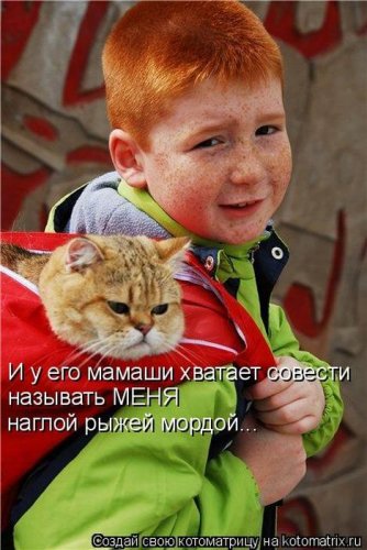 Веселая котоматрица