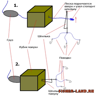 Китацка или макушатник