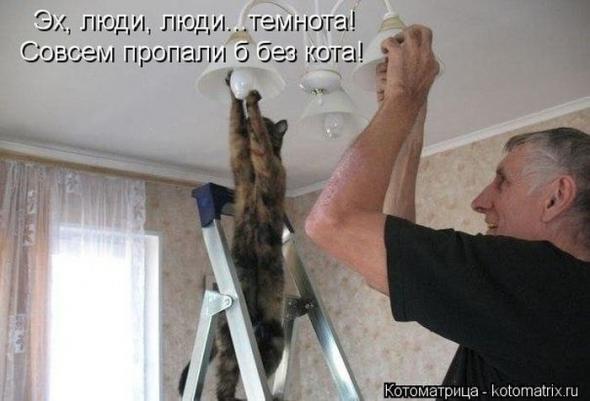 Котоматрицы (картинки с надписями)