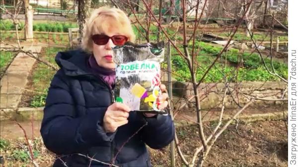 Готовая побелка Готовая побелка