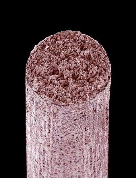 Макрофотографии обычных вещей (29 шт)