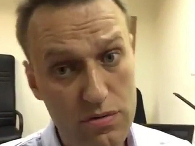 Пермский омбудсмен встала на защиту Навального