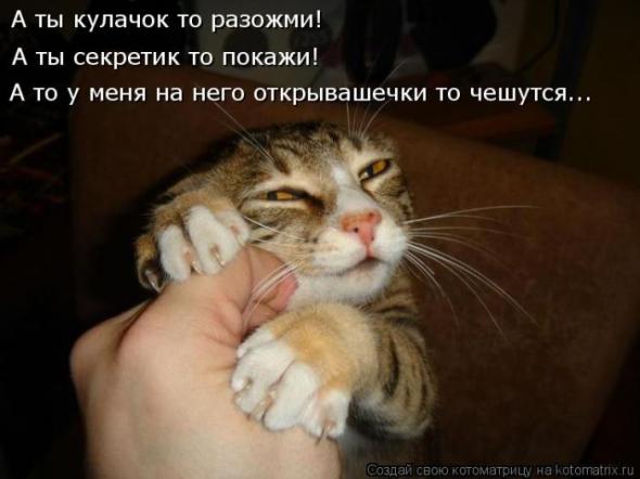 Котоматрицы (картинки с надписями)
