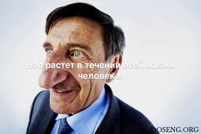 Любопытные и интересные факты обо всем на свете Любопытные и интересные факты обо всем на свете