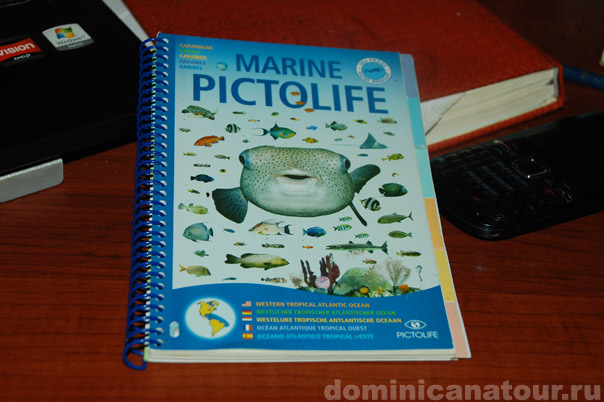 сколько стоит доминикана, доминикана дайвинг