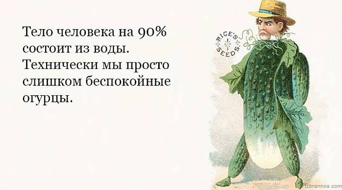 Коллекция очень странных, но смешных анекдотов)