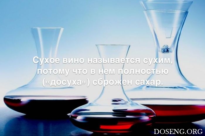 Любопытные и интересные факты обо всем на свете Любопытные и интересные факты обо всем на свете