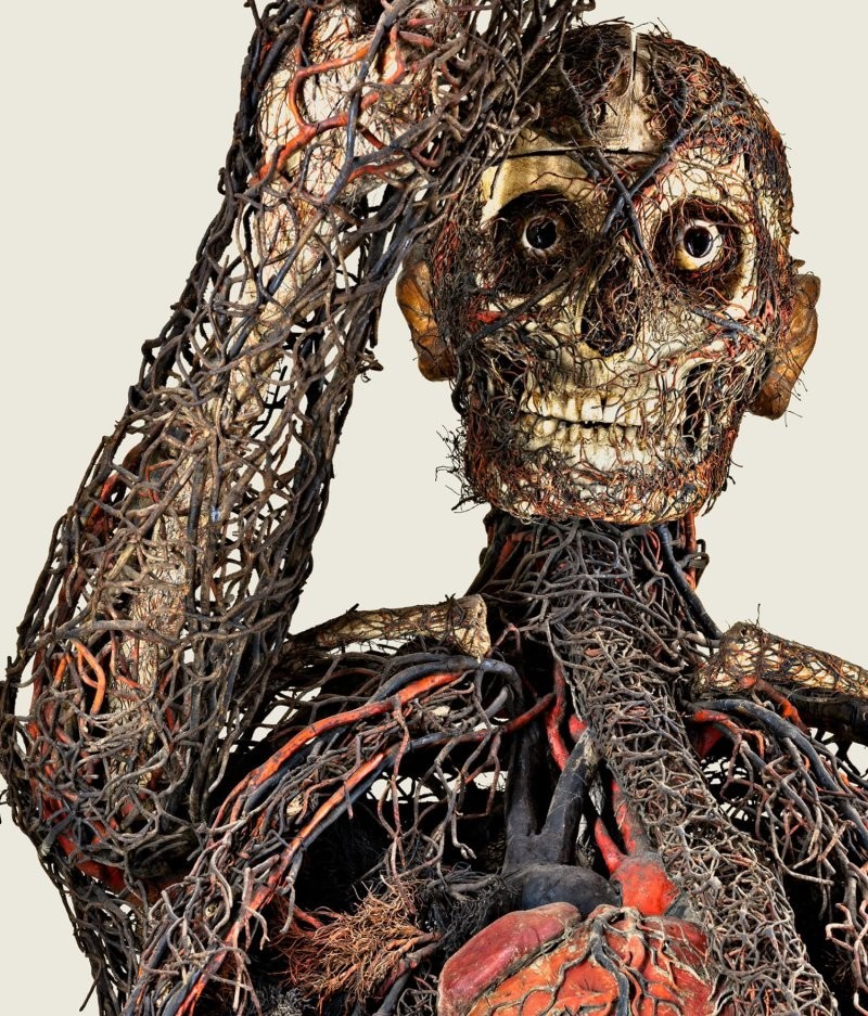 Анатомические машины Раймондо ди Сангро – правда и тёмная легенда