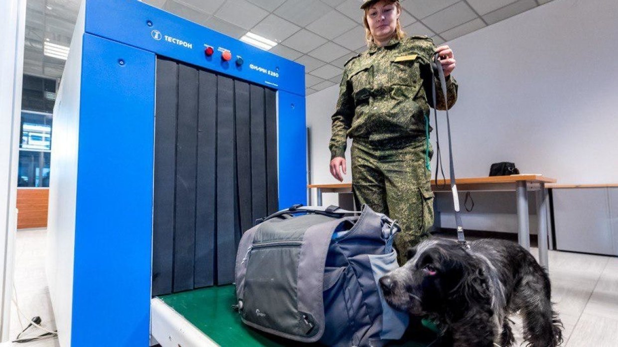 Багаж россиян на границе проверят по новым правилам