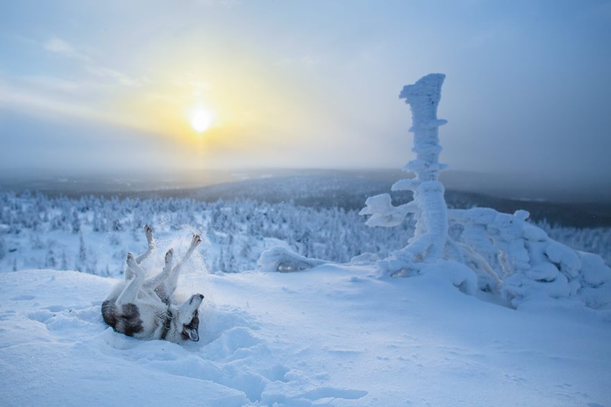 Почему Лапландия волшебное место