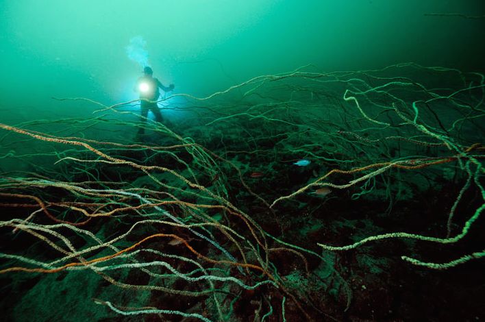 Что на дне Японского моря? Что на дне Японского моря?