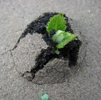 Статья о том, что внутри нас много убеждений, не всех из которых нам нужны и полезны. Большинство привыкает думать о чем-то определенным образом, принимать как "нечто, само собой разумеющееся", и многим даже не приходит в голову, что эти убеждения, во-первых, могут быть не правдой, а во-вторых, их вполне можно и нужно пересматривать время от времени. <a href=