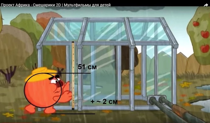 До чего доводит карантин: чувак посчитал рост Смешариков
