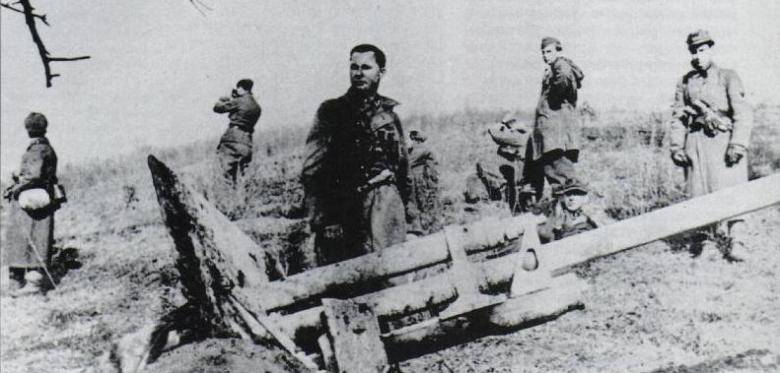 Трофейные советские 76,2-мм орудия: опыт немцев во Второй мировой войне
