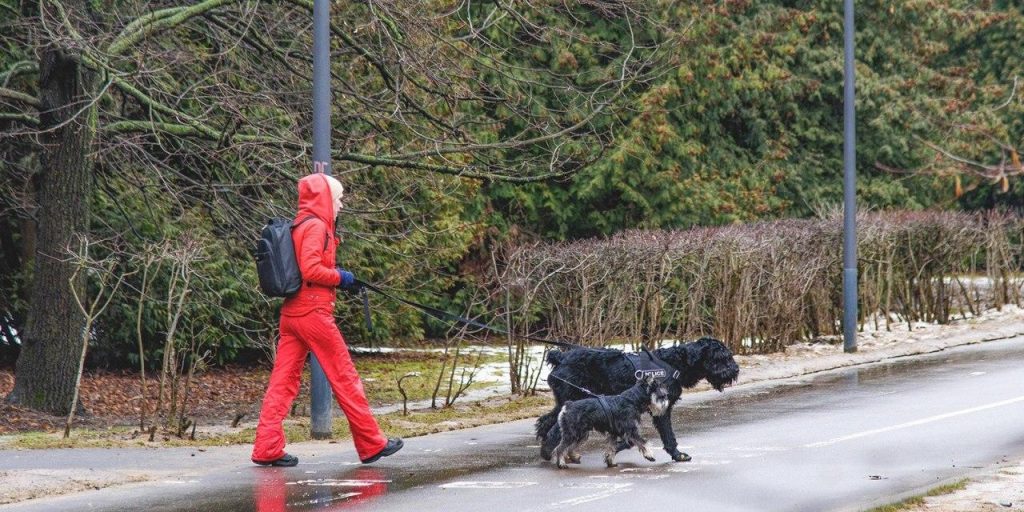Более 8 тыс соцрабоников и волонтеров помогают москвичам на самоизоляции