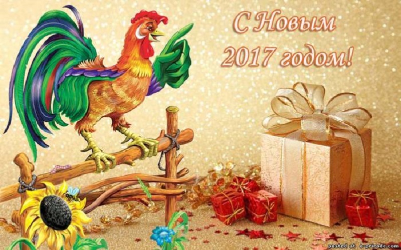 Абсурдные новости. 31 декабря 2016 года Абсурдные новости. 31 декабря 2016 года