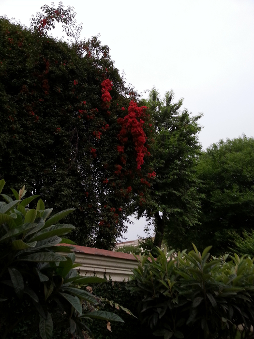 20130417_174444 (525x700, 365Kb)