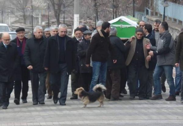Собачка прибегает к могиле моего отца абсолютно каждый день Собачка прибегает к могиле моего отца абсолютно каждый день