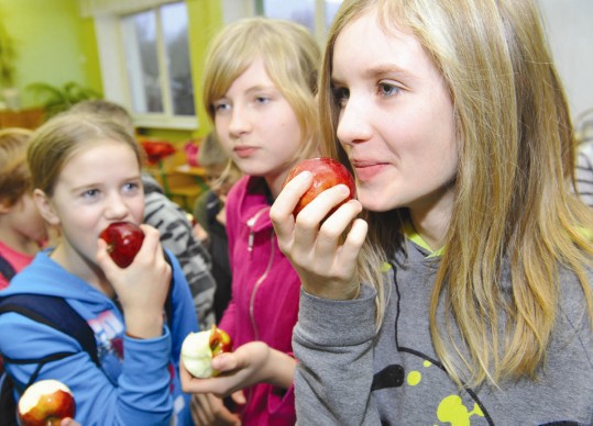 Новости / Общество / С сегодняшнего дня школьникам будут выдавать бесплатные фрукты и овощи