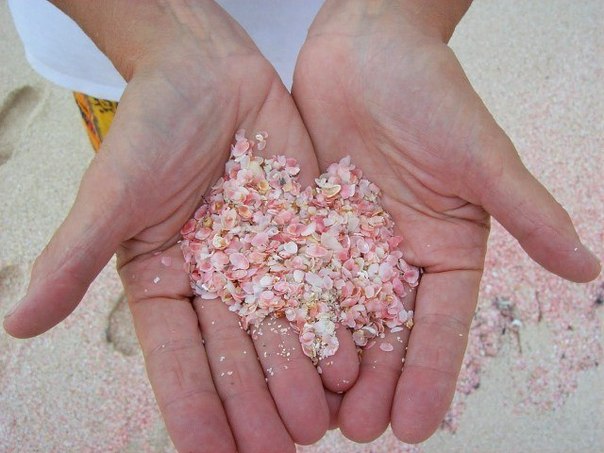 Пляж розовых песков на острове Харбор, Багамы.
