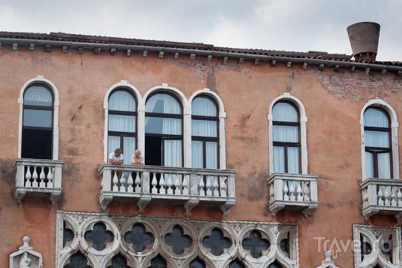 � ������������ ������ �� �����-������. �������. ������ / ���� �� ������