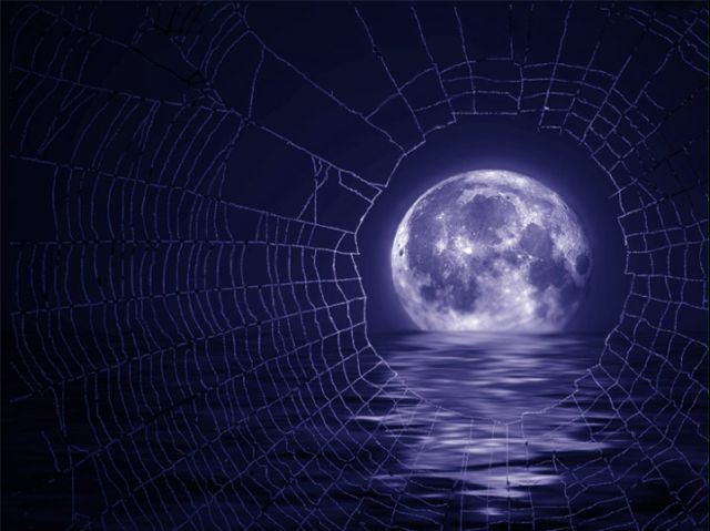 4360286_822235 (640x479, 44Kb)