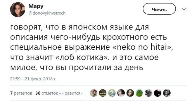Новая партия искрометных приколов для надрыва животов Новая партия искрометных приколов для надрыва животов