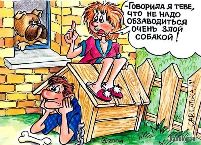 Смешные картинки и карикатуры (45 картинок) Смешные картинки и карикатуры (45 картинок)