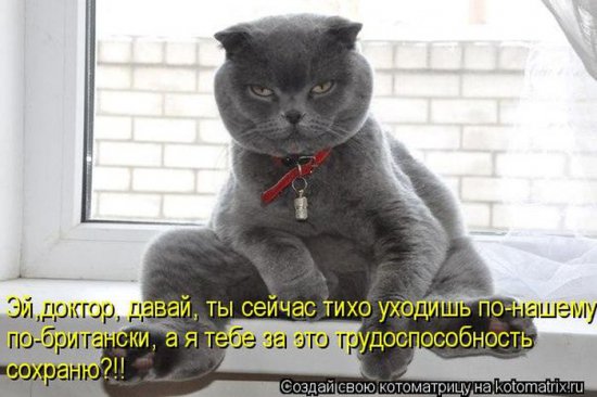 Для хорошего настроения 4