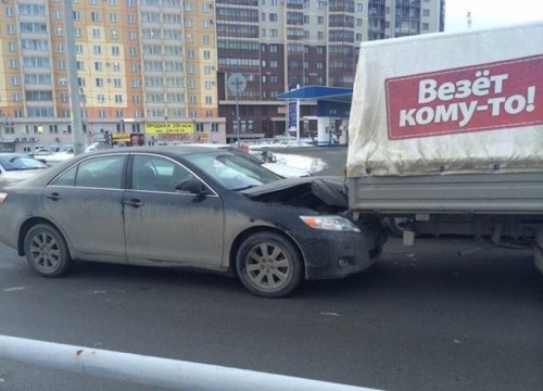 Прикольные картинки для всех (44 шт)