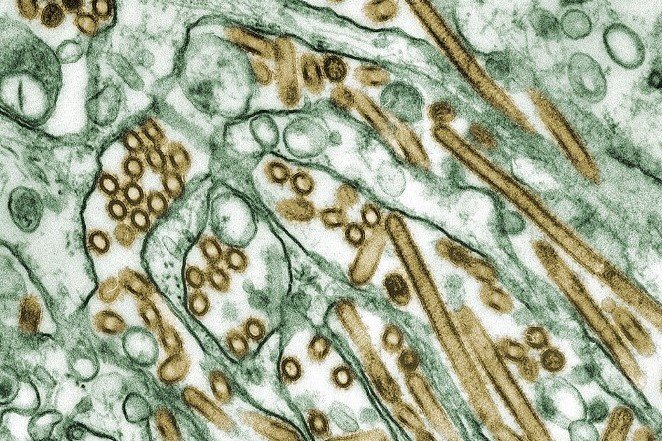 Моменты истории, когда человечество было на краю гибели