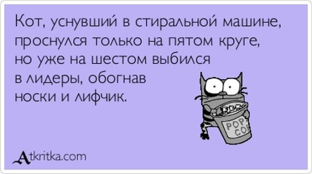 Веселые Аткрытки с текстом