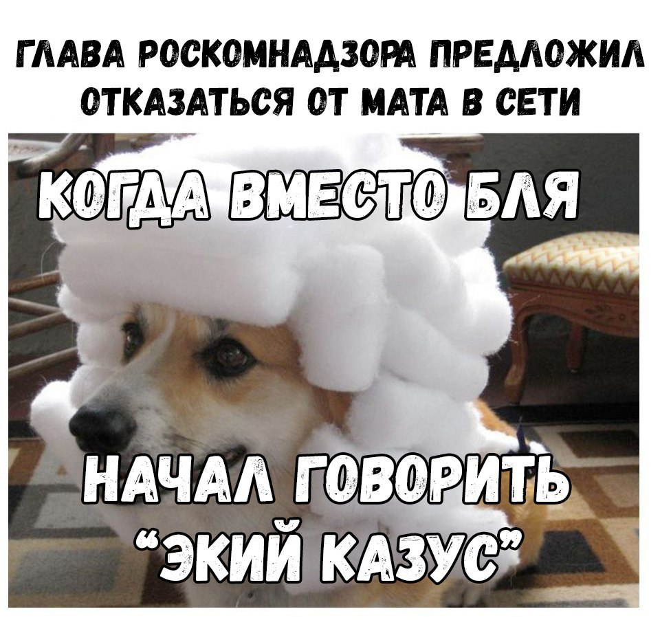 Матерятся только слабаки. Роскомнадзор призывает отказаться от нецензурной брани