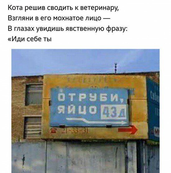 Позитивные картинки в стихах Позитивные картинки в стихах