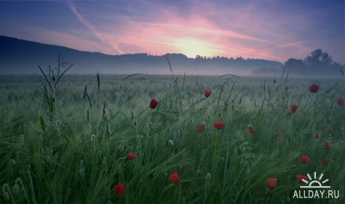 1243065993_allday.ru_16