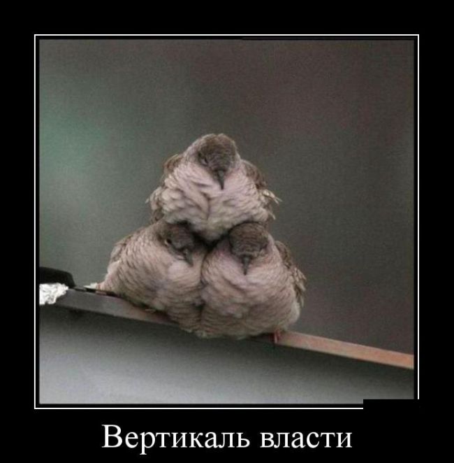 Демотиваторы (30 фото)