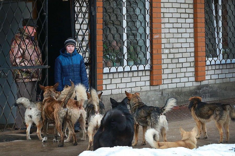 А что такого сказала Малышева? А что такого сказала Малышева?