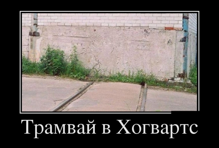 жизнь нужно прожить так чтобы голуби пролетая. Смотреть фото жизнь нужно прожить так чтобы голуби пролетая. Смотреть картинку жизнь нужно прожить так чтобы голуби пролетая. Картинка про жизнь нужно прожить так чтобы голуби пролетая. Фото жизнь нужно прожить так чтобы голуби пролетая