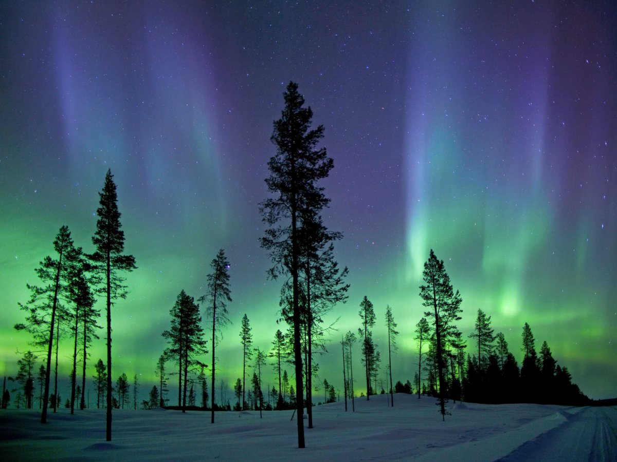heres-the-aurora-borealis-photographed-in-the-early-morning-hours-in-the-arctic-circle-also-known-as-the-northern-lights-the-spectacular-light-show-is-created-when-fast-moving-charged-particles-from-the-sun-hit-